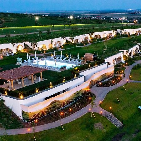 Casa Timis - Wellness & Spa Resort Chitorani Esterno foto Aerial view of the resort