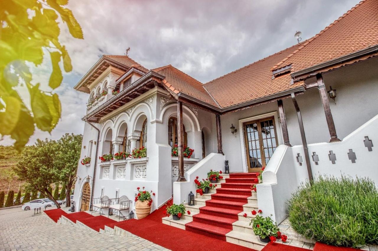 Casa Timis - Wellness & Spa Resort Chitorani Esterno foto The entrance of the winery