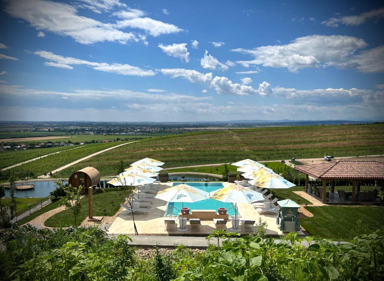 Casa Timis - Wellness & Spa Resort Chitorani Esterno foto View of the resort
