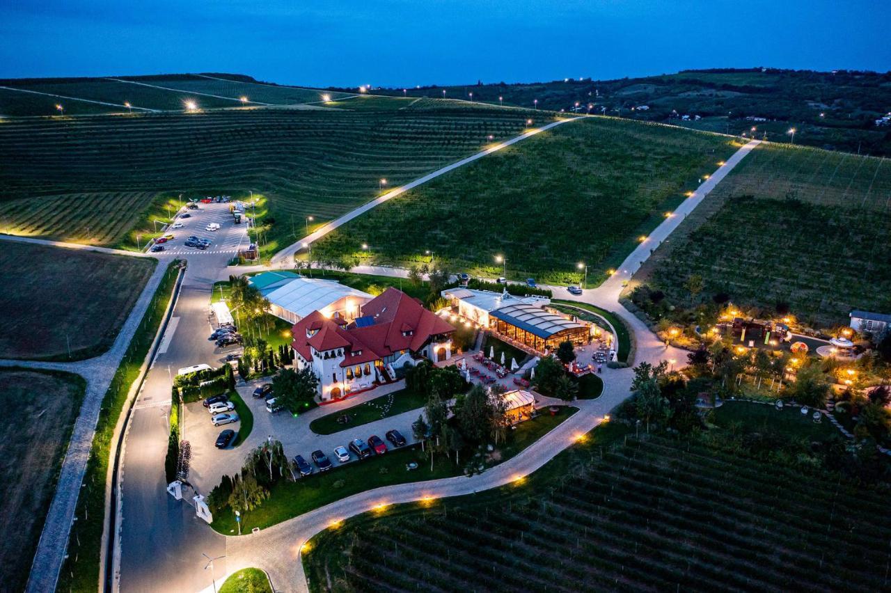 Casa Timis - Wellness & Spa Resort Chitorani Esterno foto Aerial view of the winery